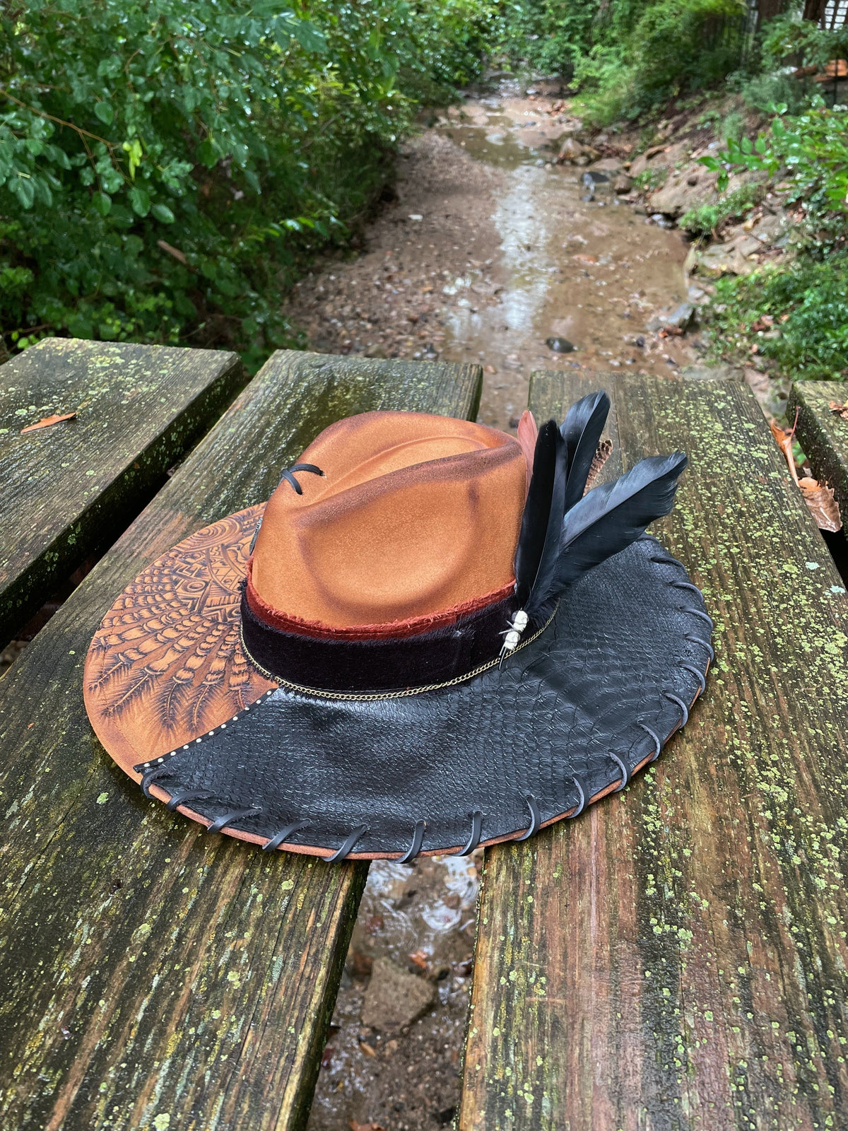 Scott Custom