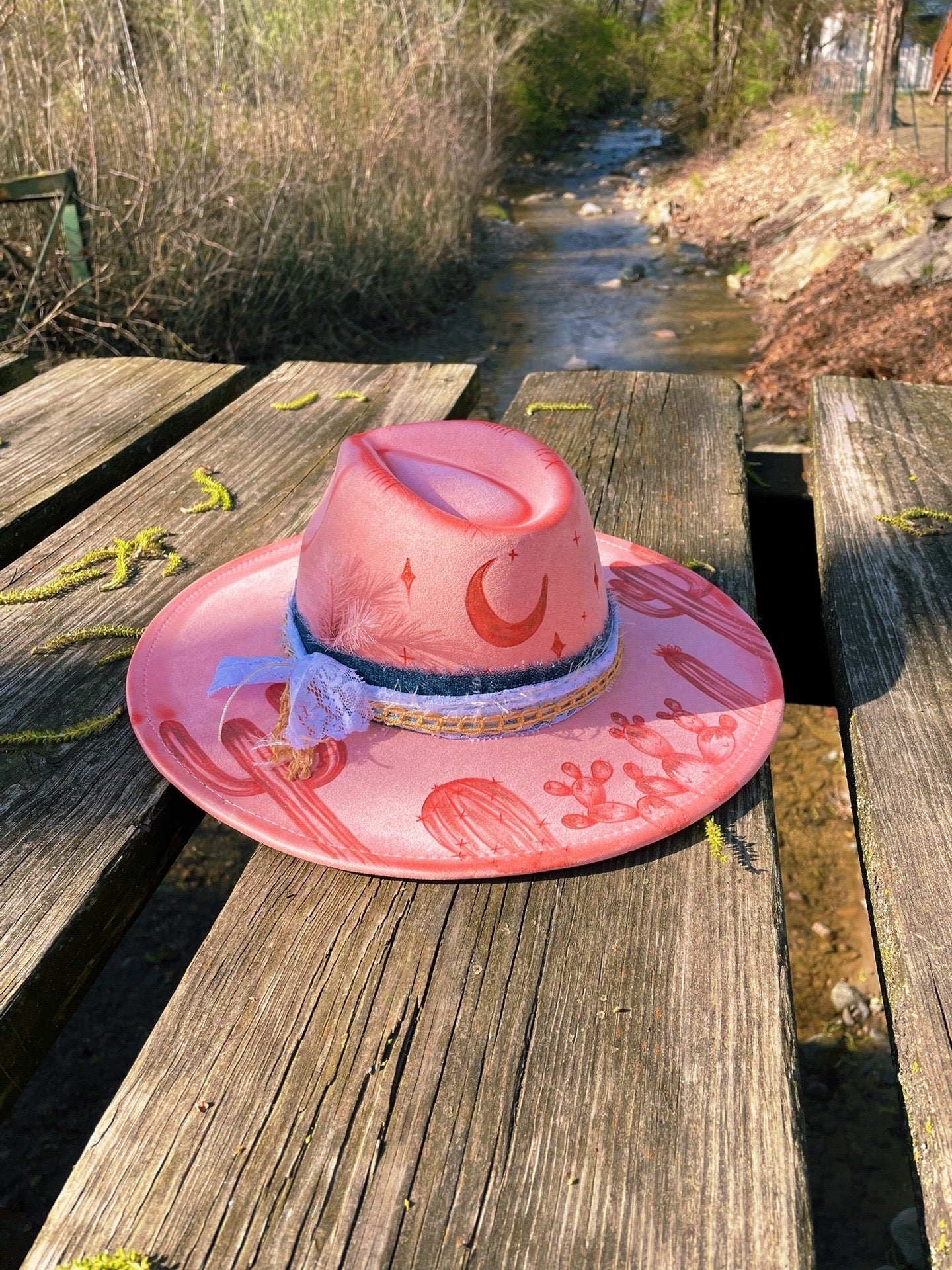 Pink cactus