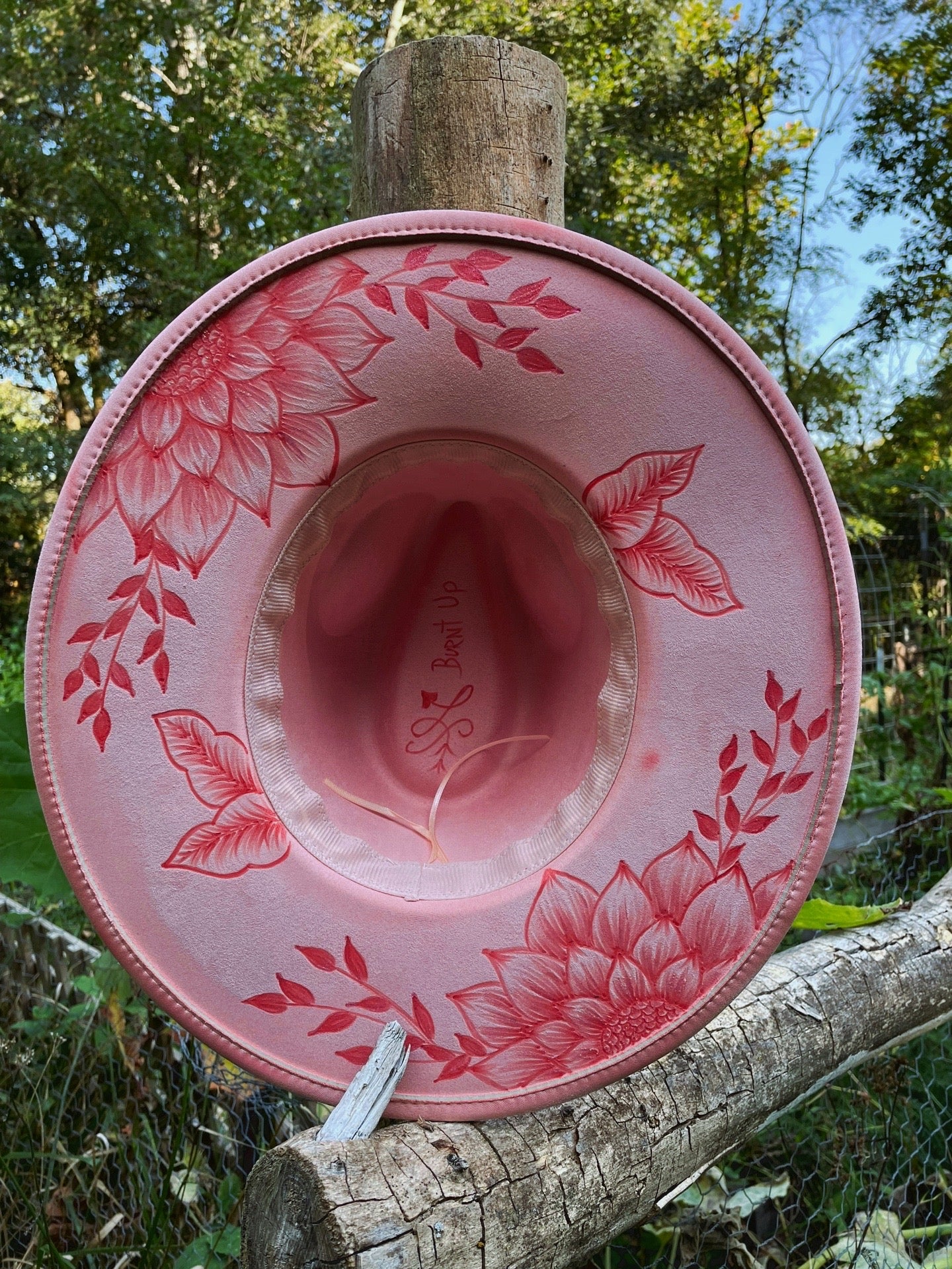 Pink sunflower