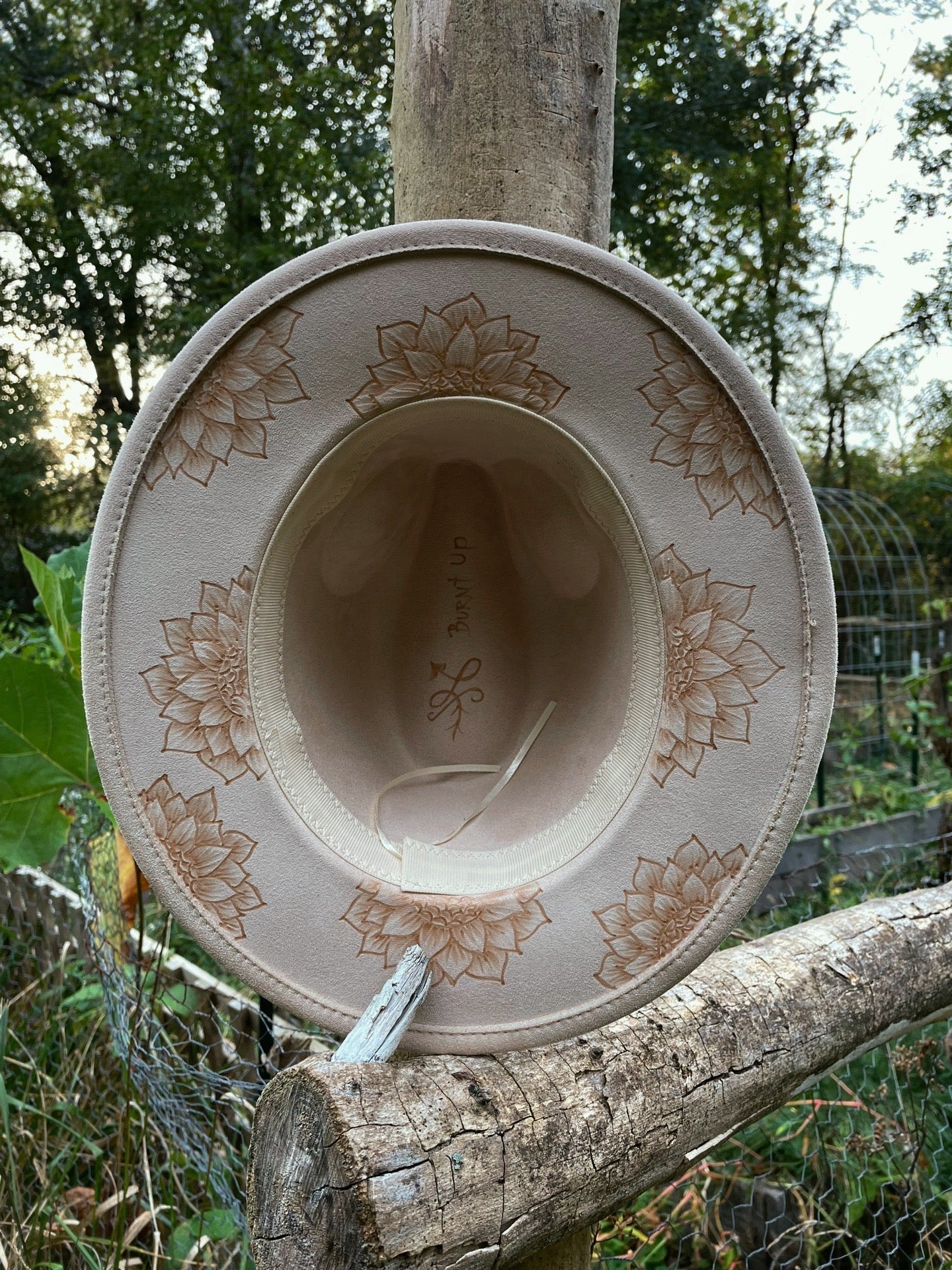 Short brim sunflower